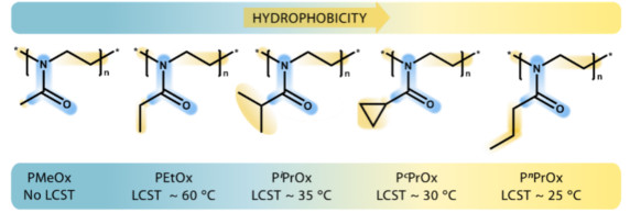 LCST PAOx poly(2-oxazoline)s series