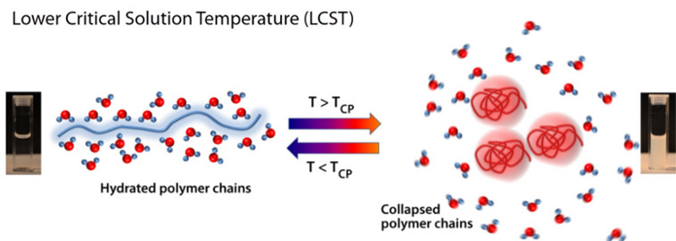 LCST_Lower critical solution temperature